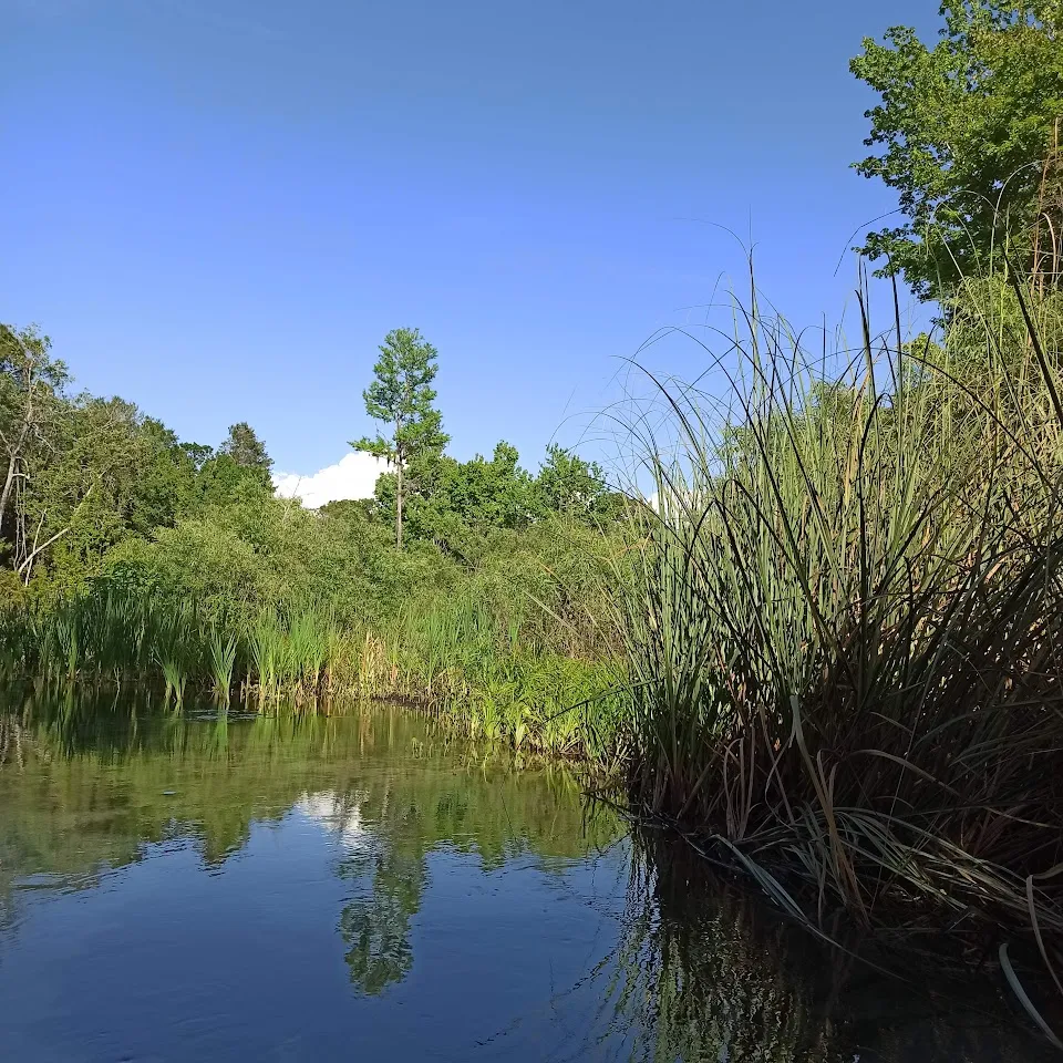 Chassahowitzka Wildlife Management Area