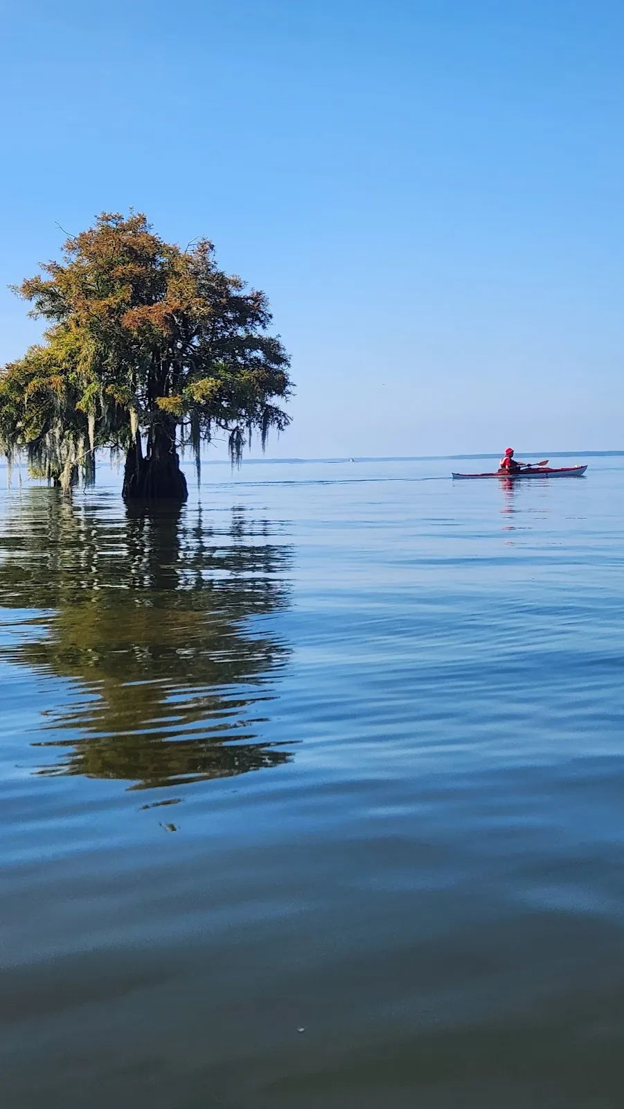 Randolph's Landing Inc