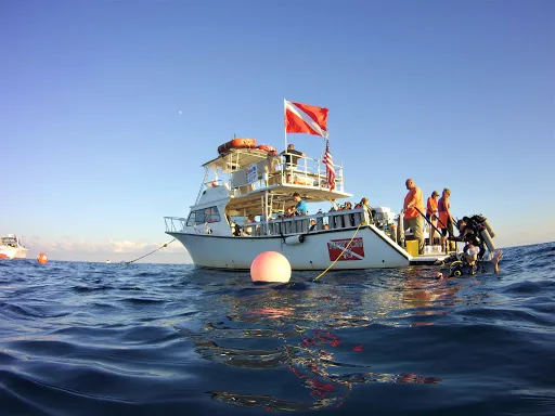 Hernando Beach Scuba