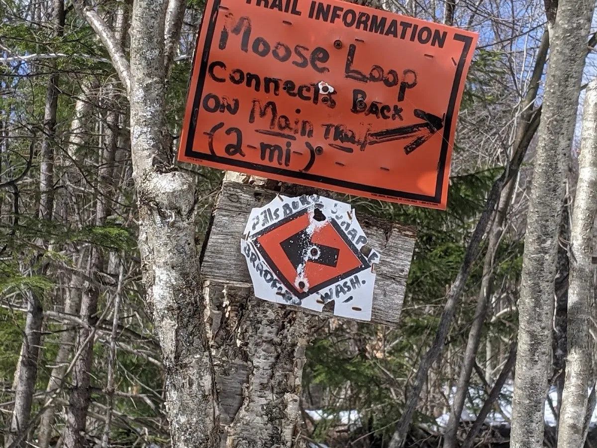 Moose Loop Trail Southern Terminus