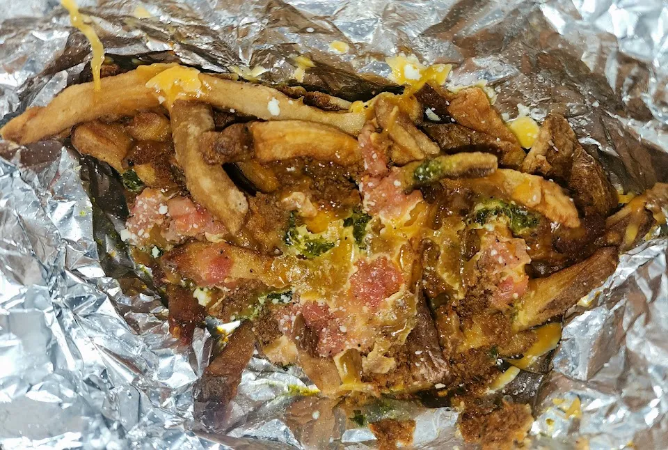 HolyDog