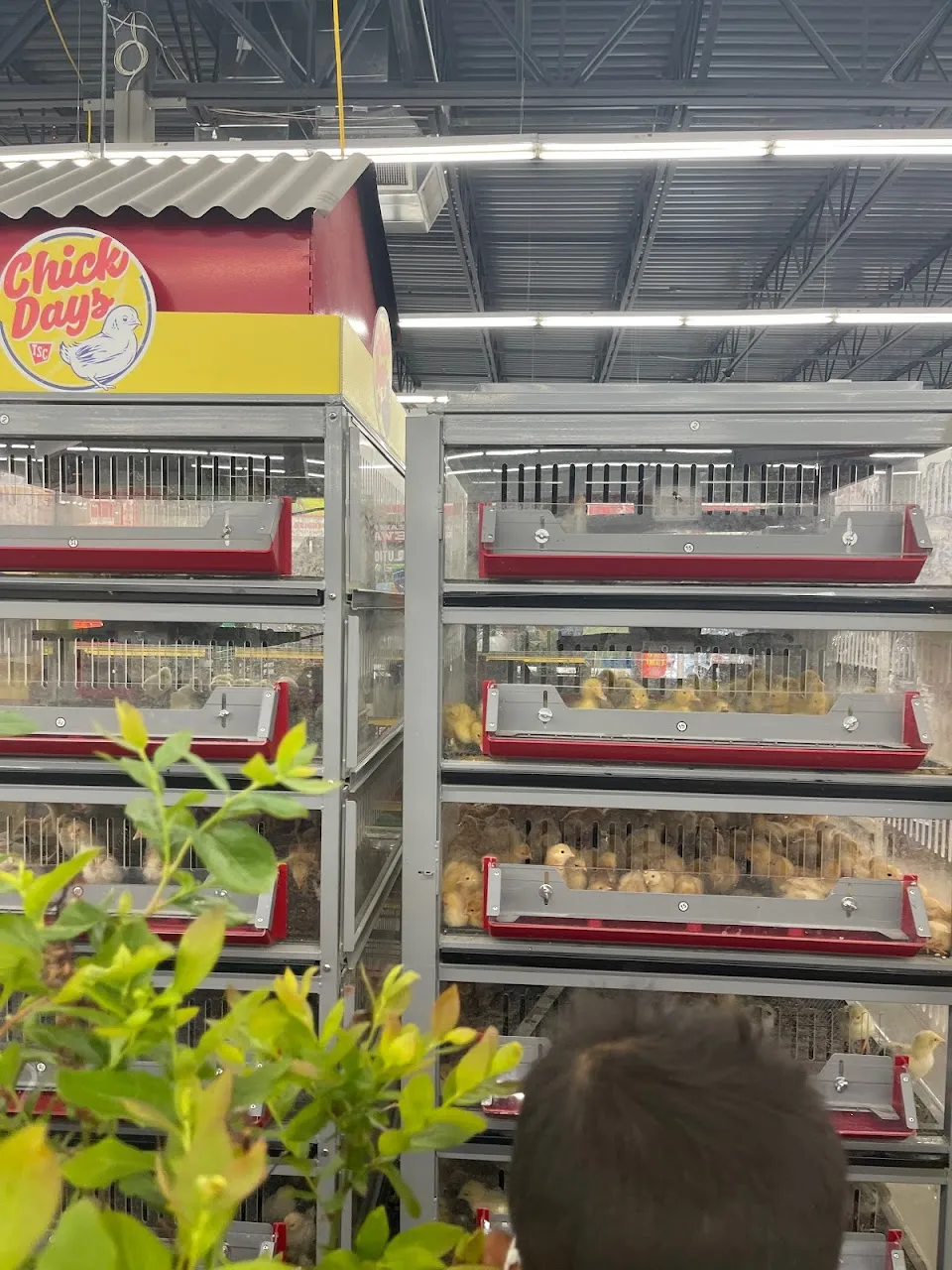 Tractor Supply Co.