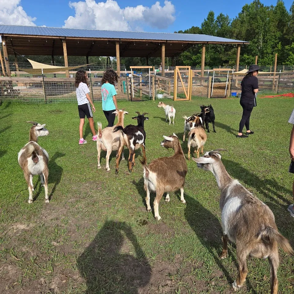 Country Kingdom Petting Farm