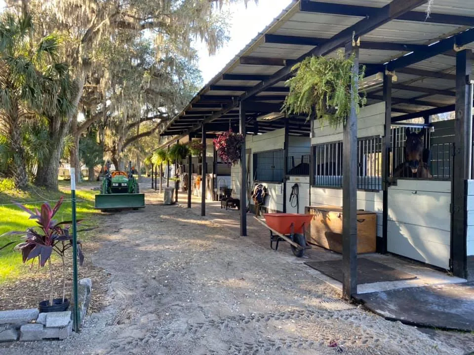 Canter Down Farms