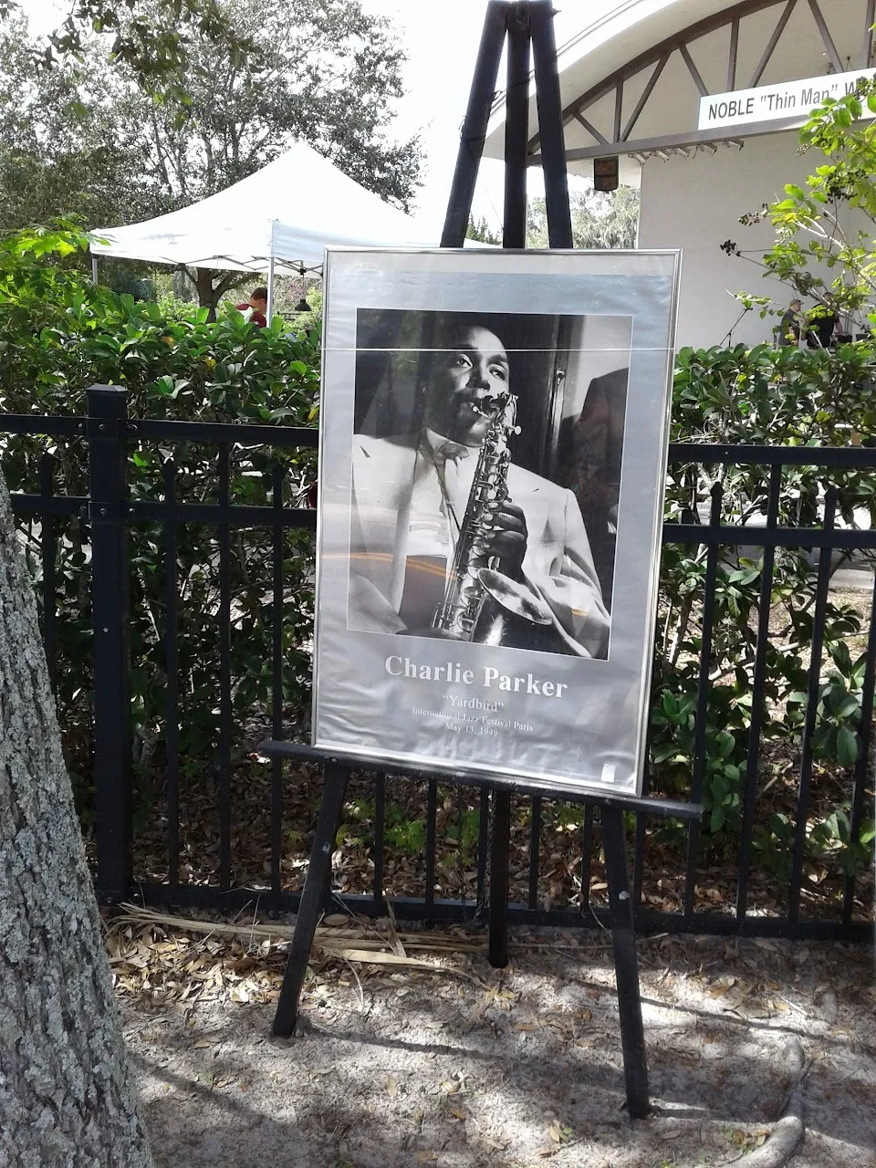 African American Museum of the Arts, Inc