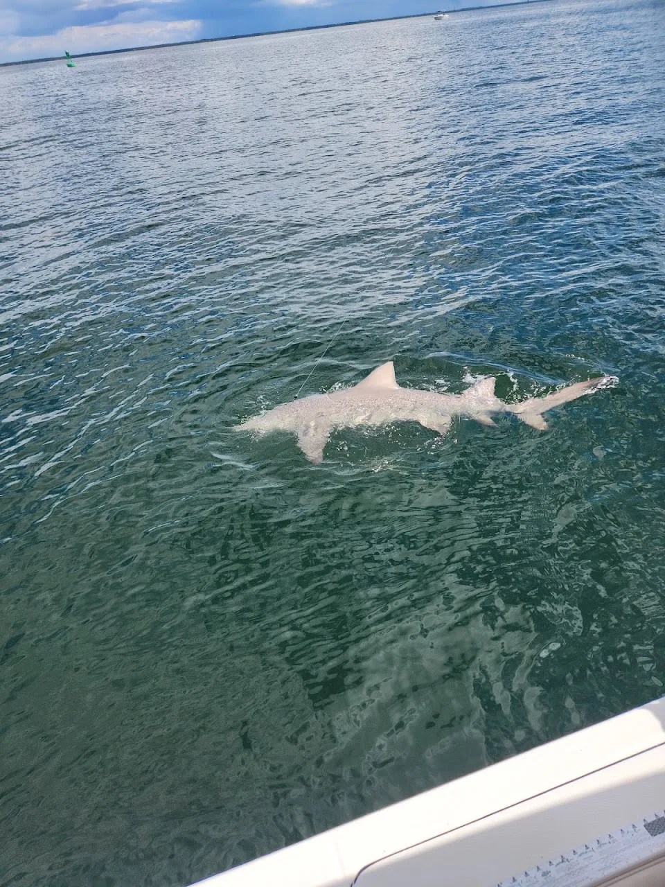 Poseidon Fishing Charters