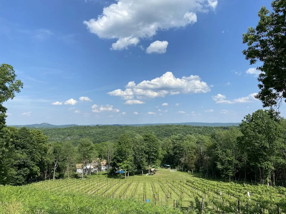 Clearview Vineyard & Winery