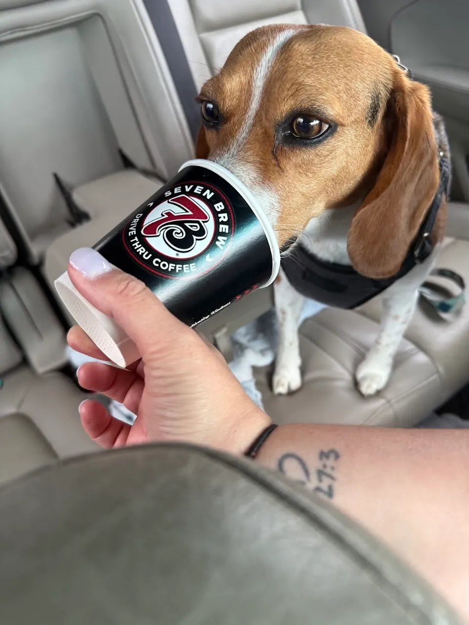 7 Brew Coffee