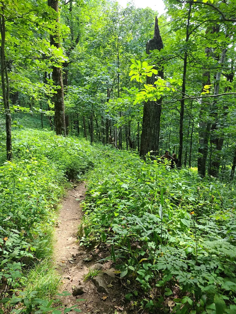 Tennesse Rock Loop Trailhead