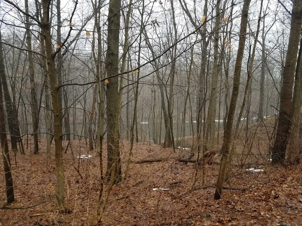 Friends Of The White Pine Trail