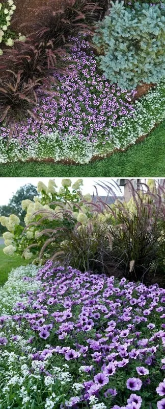 Laura Smith Landscaping Architect