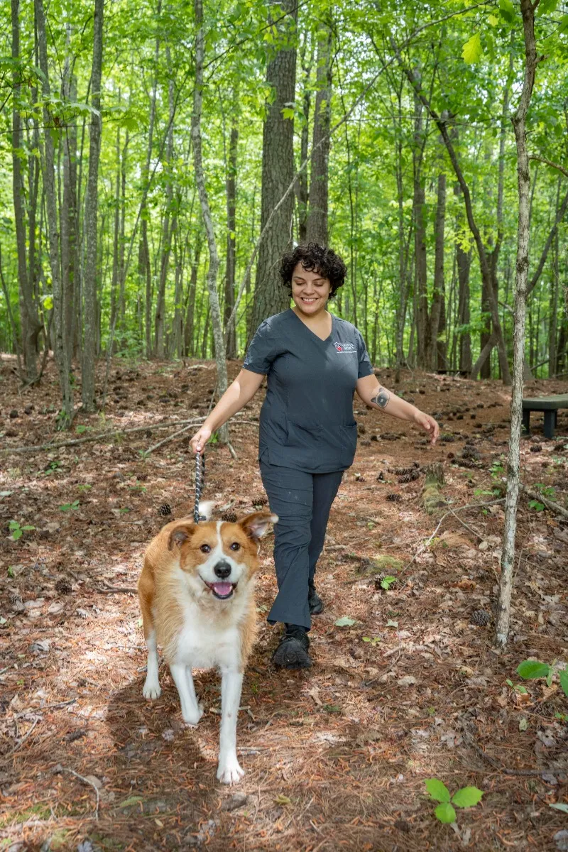 Rockingham County Pathways Trail