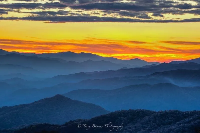 North Georgia Arts Guild
