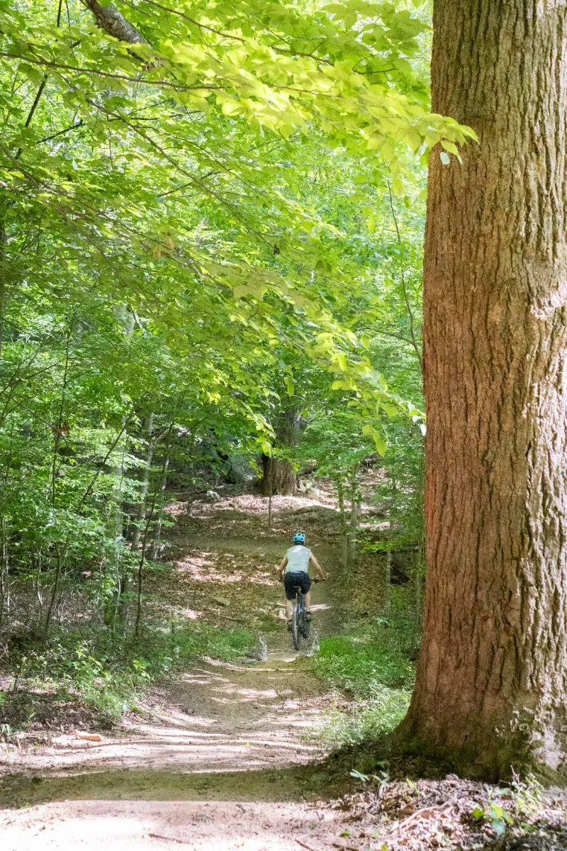 Farris Memorial Park Mountain Bike Trail