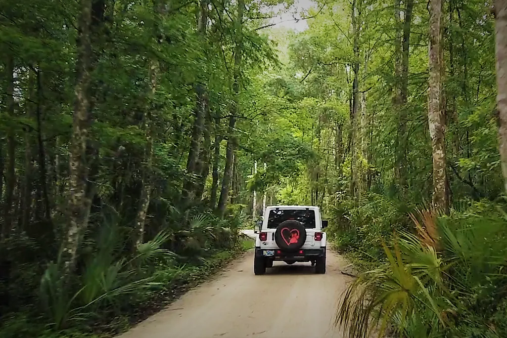 Chassahowitzka Wildlife Management Area