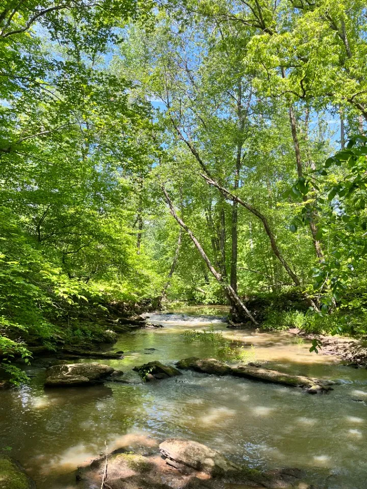 Troublesome Creek