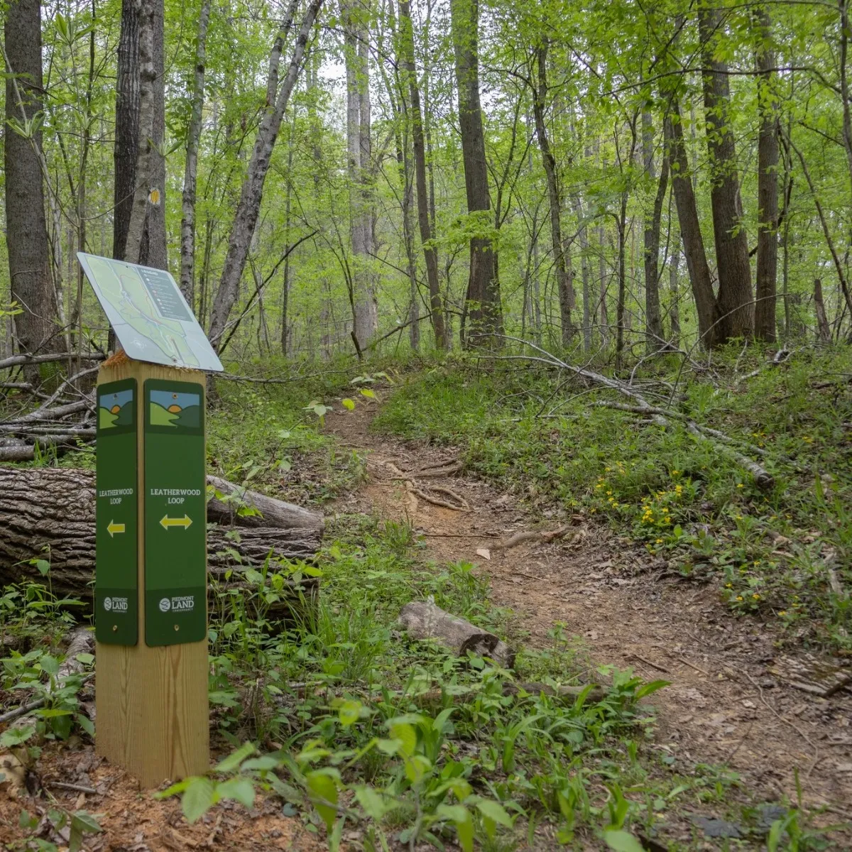 Knight Brown Nature Preserve