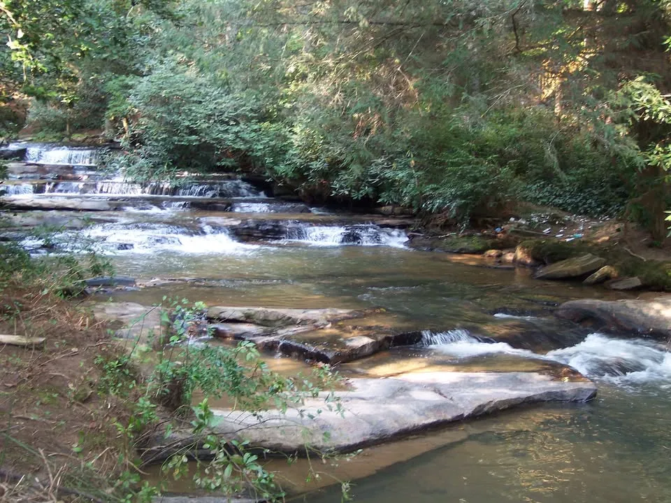 Bear Creek Realty