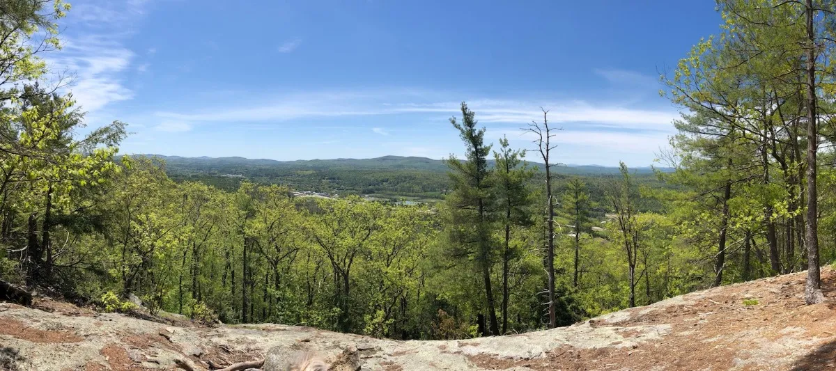 Coit Mountain & the Pinnacle Loop