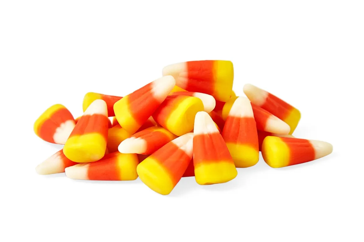 Savannah's Candy Kitchen