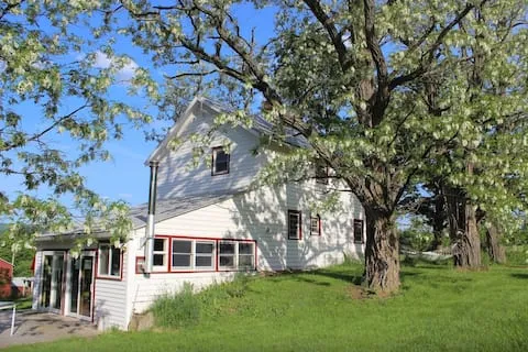 The Sparrow House