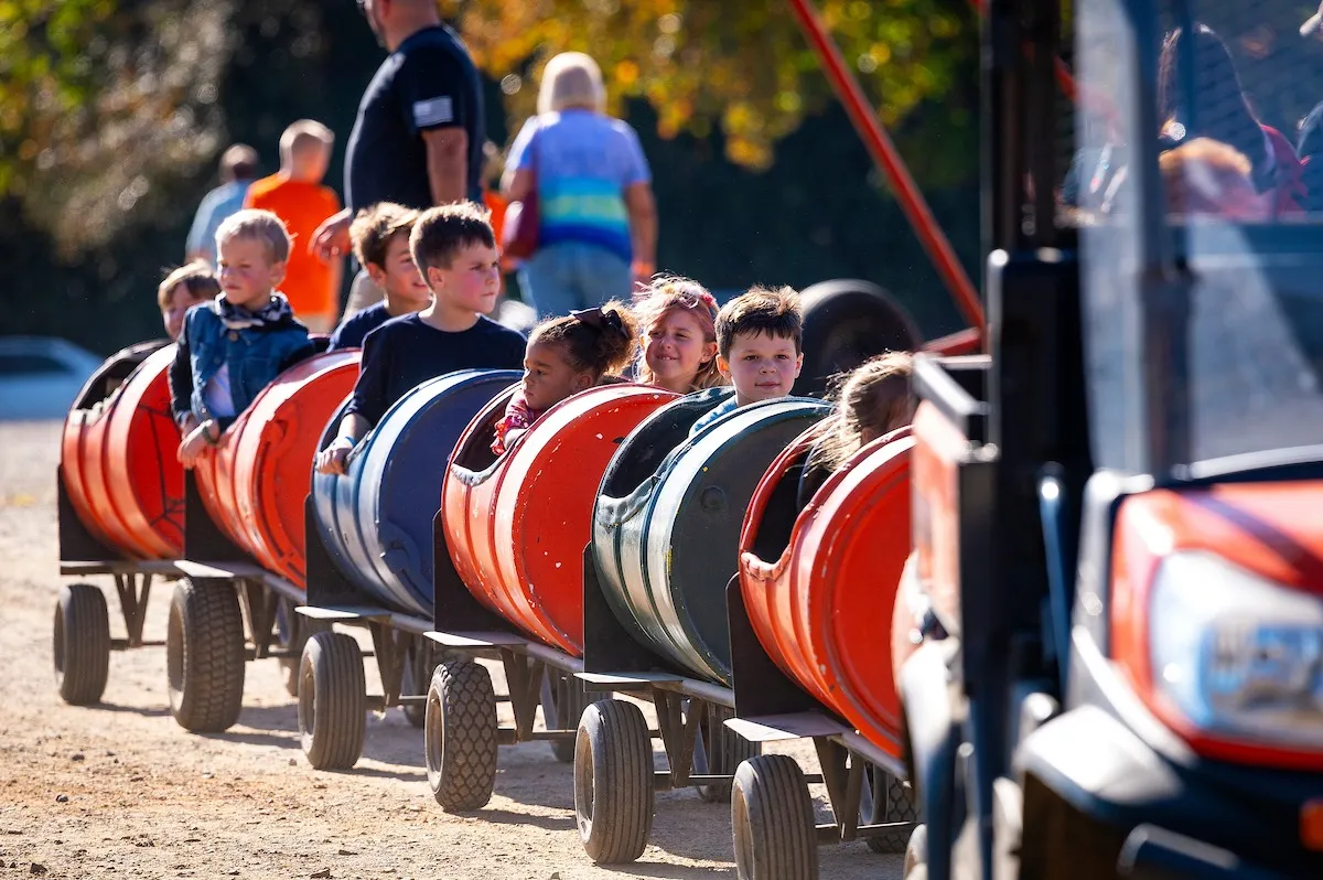 Harvest Ridge Corntacular Adventure
