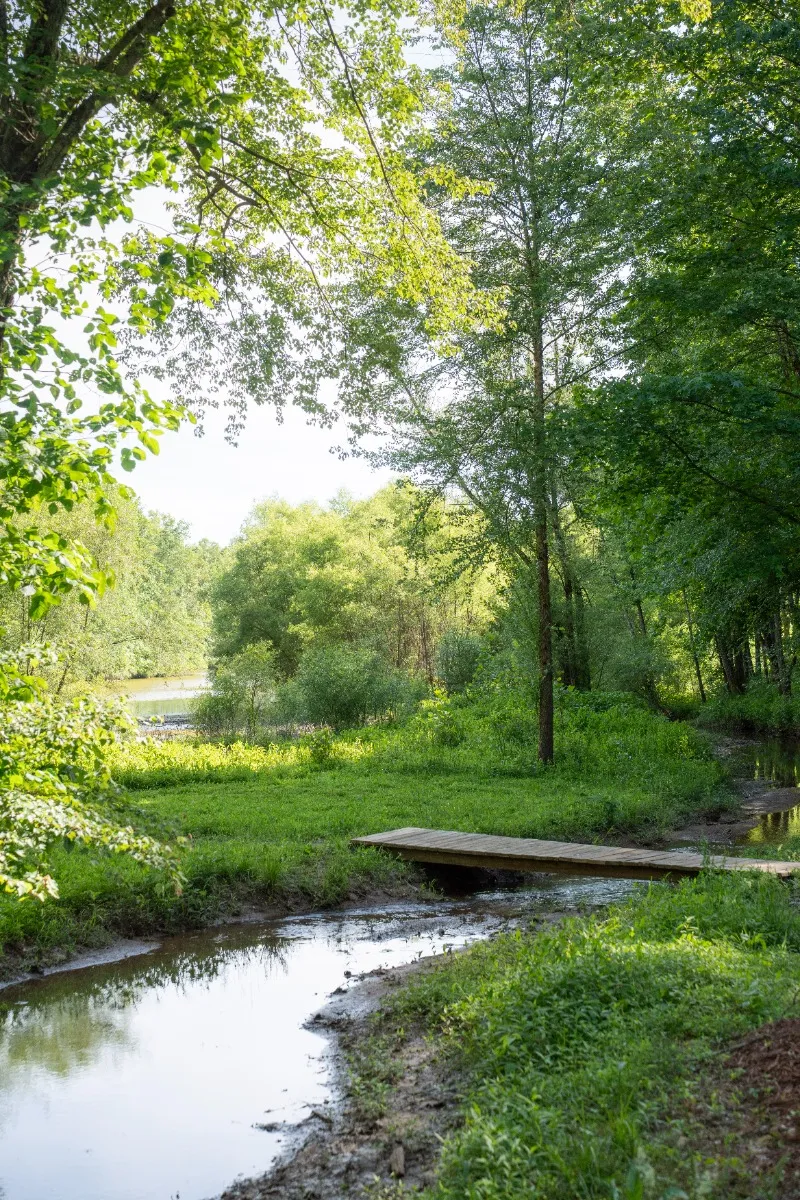 Lakes Edge Disc Golf