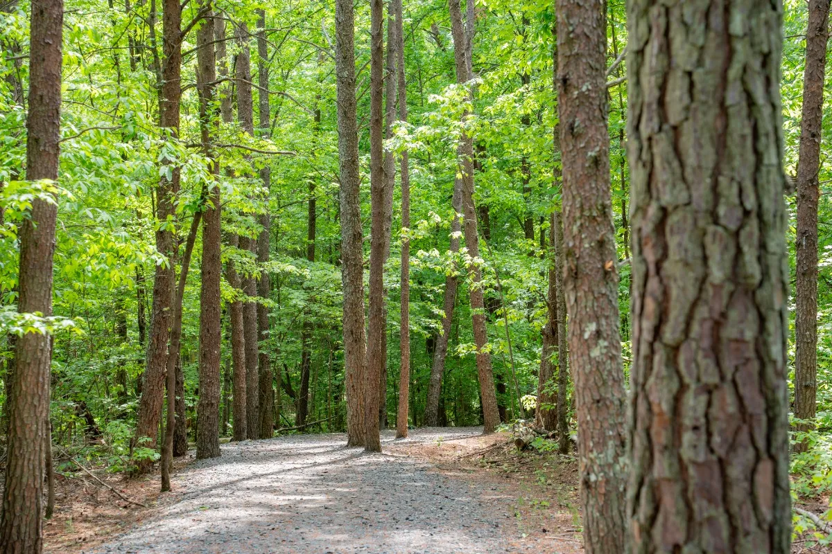 Wentworth Park and Trail