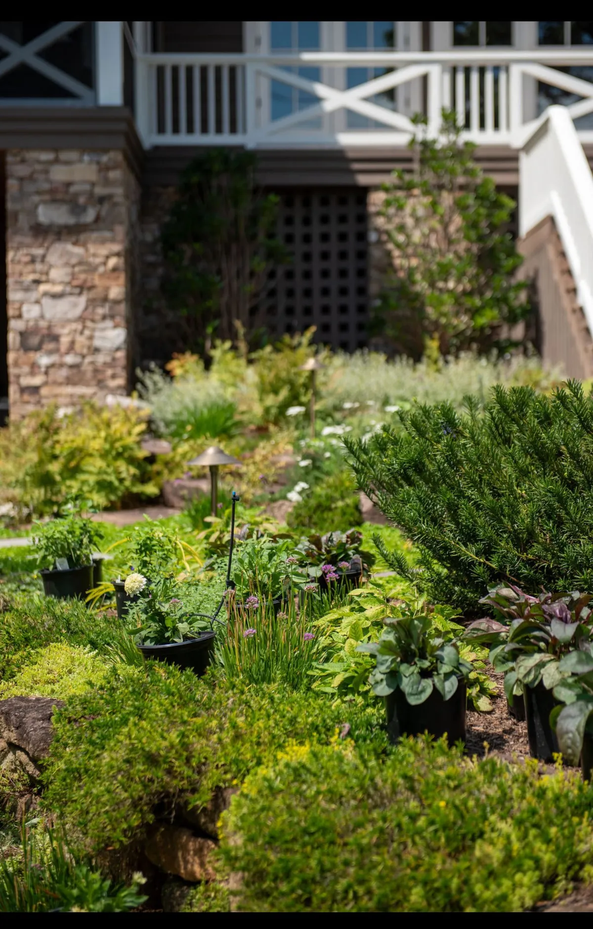 Harmony Gardens/Harmony Garden/ Designs Installation/Harmony Craftsmen