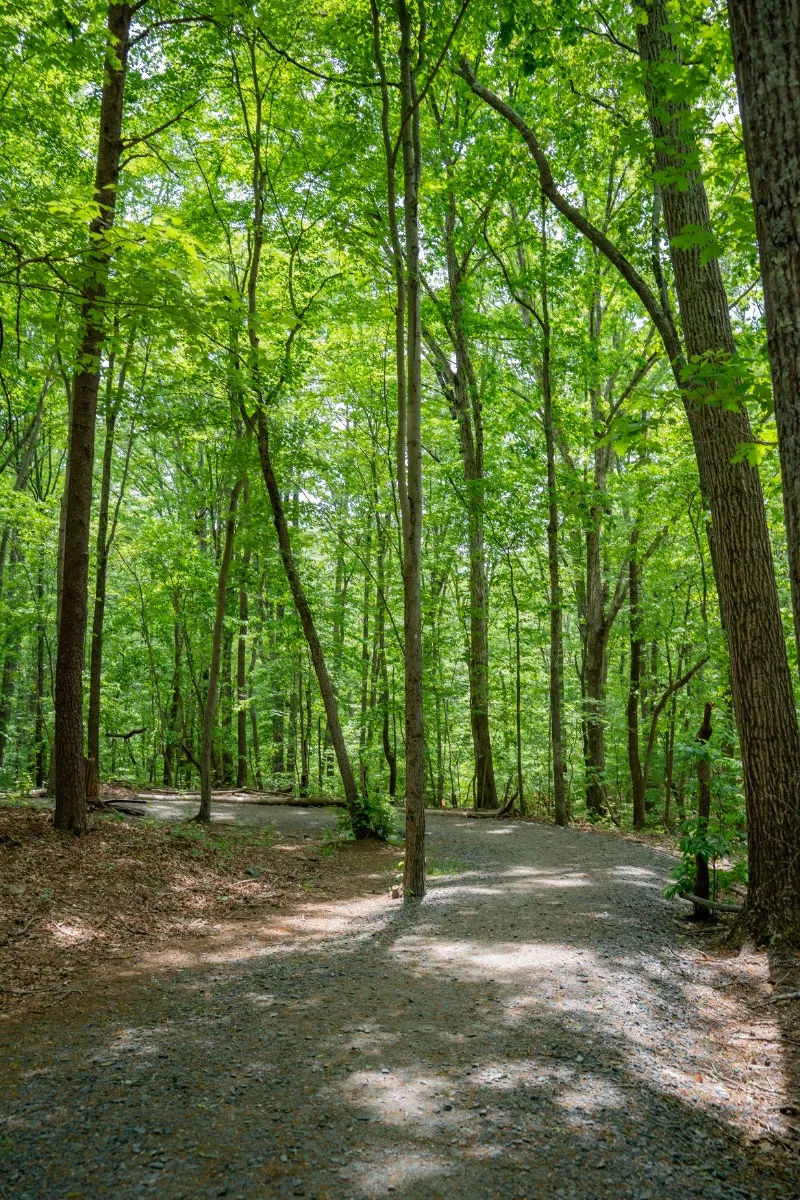 Wentworth Park and Trail