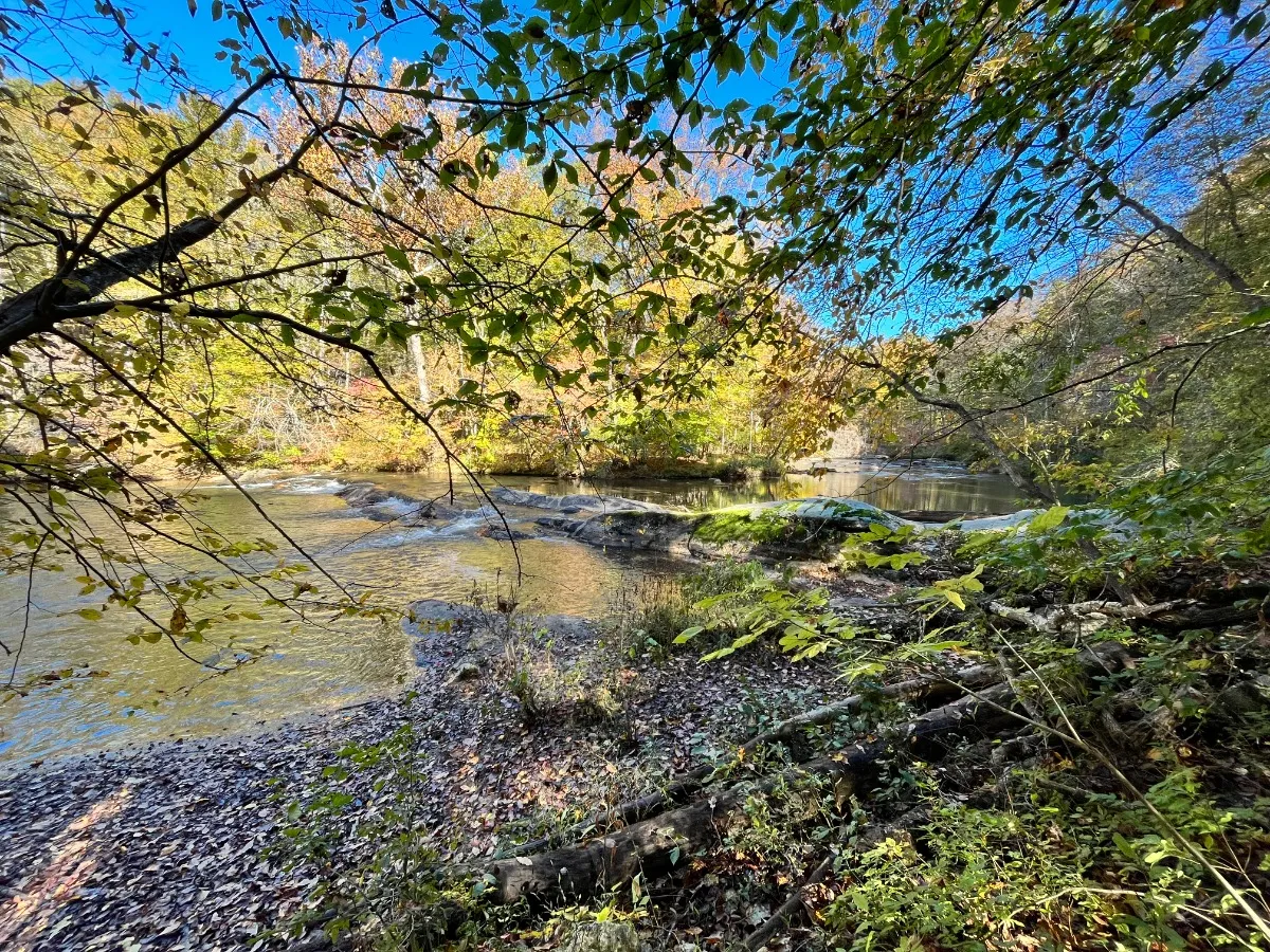 Mayo River State Park - Deshazo Mill Access