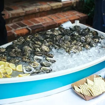 Sharkbite Oysters