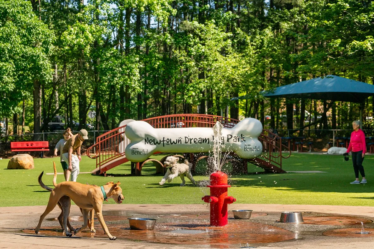 Newtown Dream Dog Park