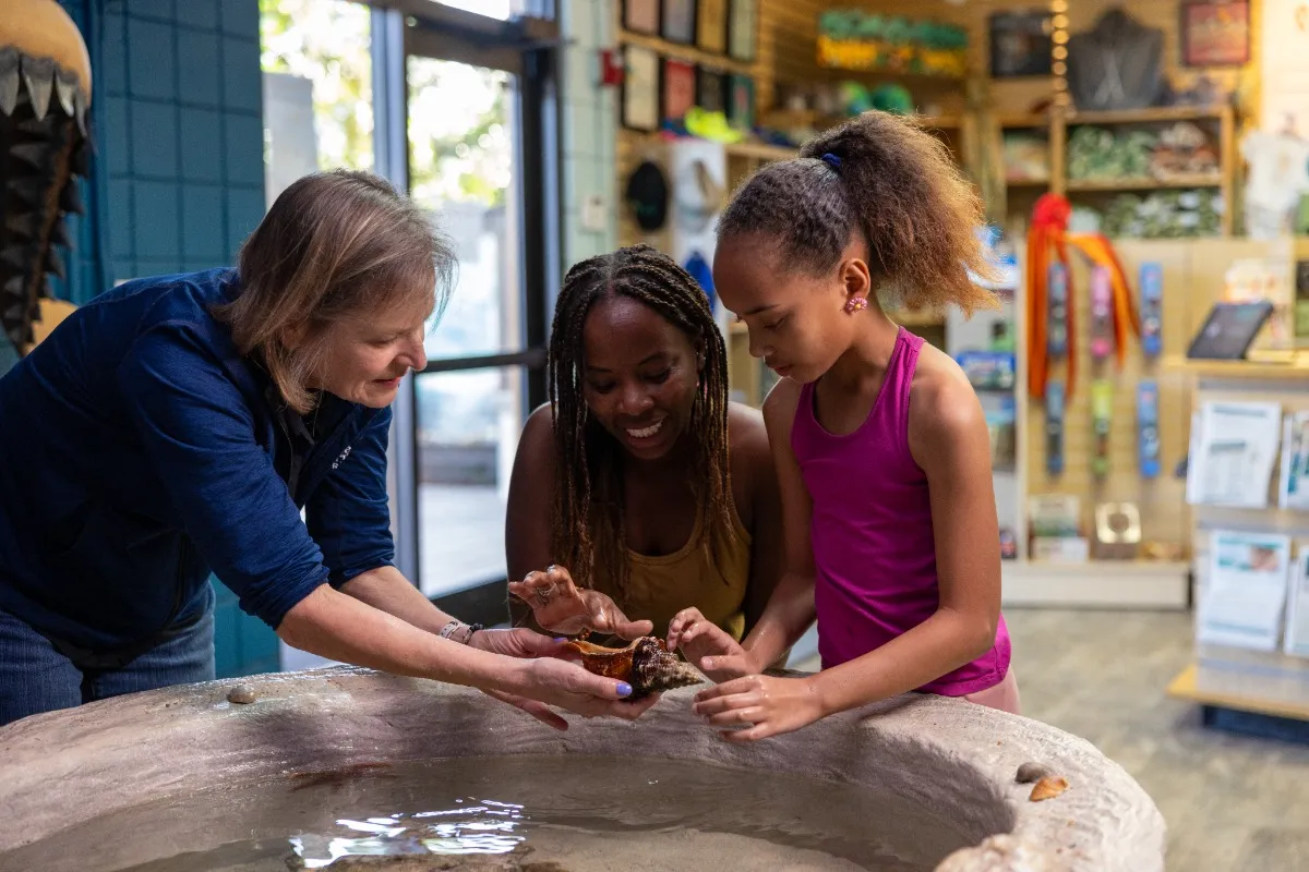 Marine Discovery Center