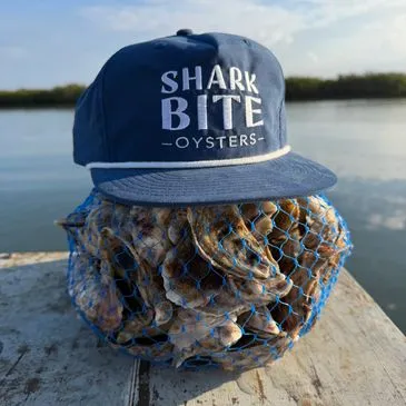 Sharkbite Oysters