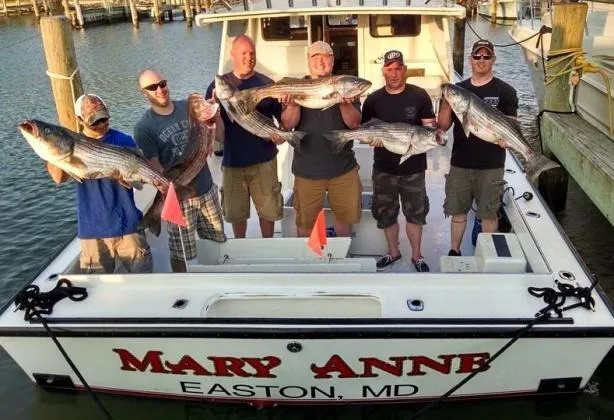 Mary Anne Fishing Charters