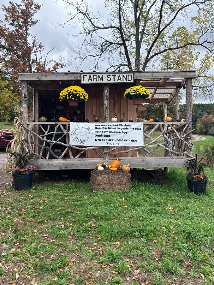 Wild Desire, A Frugal Homestead- Agri-Cabin