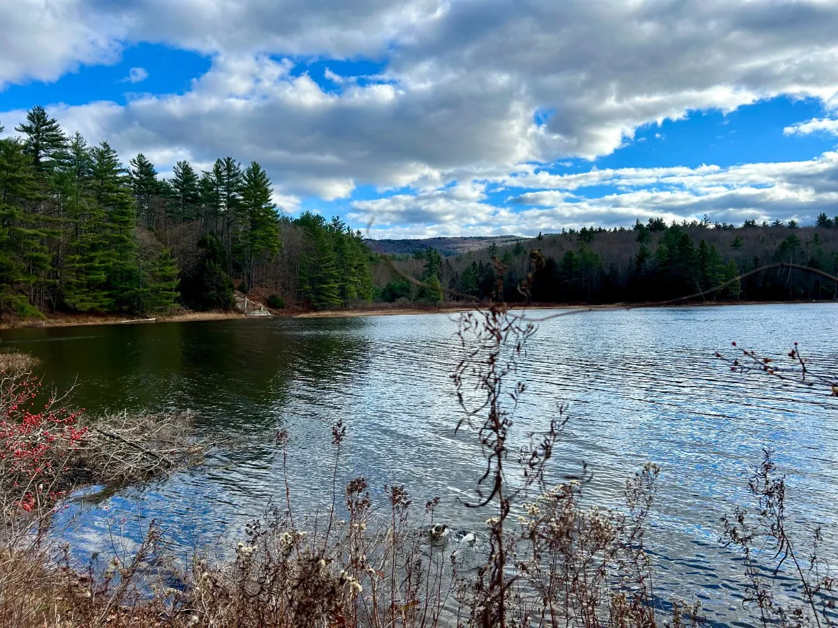 Gunnison Lake: Ruth LeClair Memorial Trail