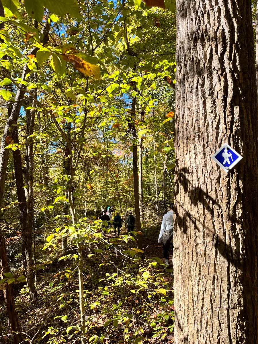 Mayo River State Park - Deshazo Mill Access