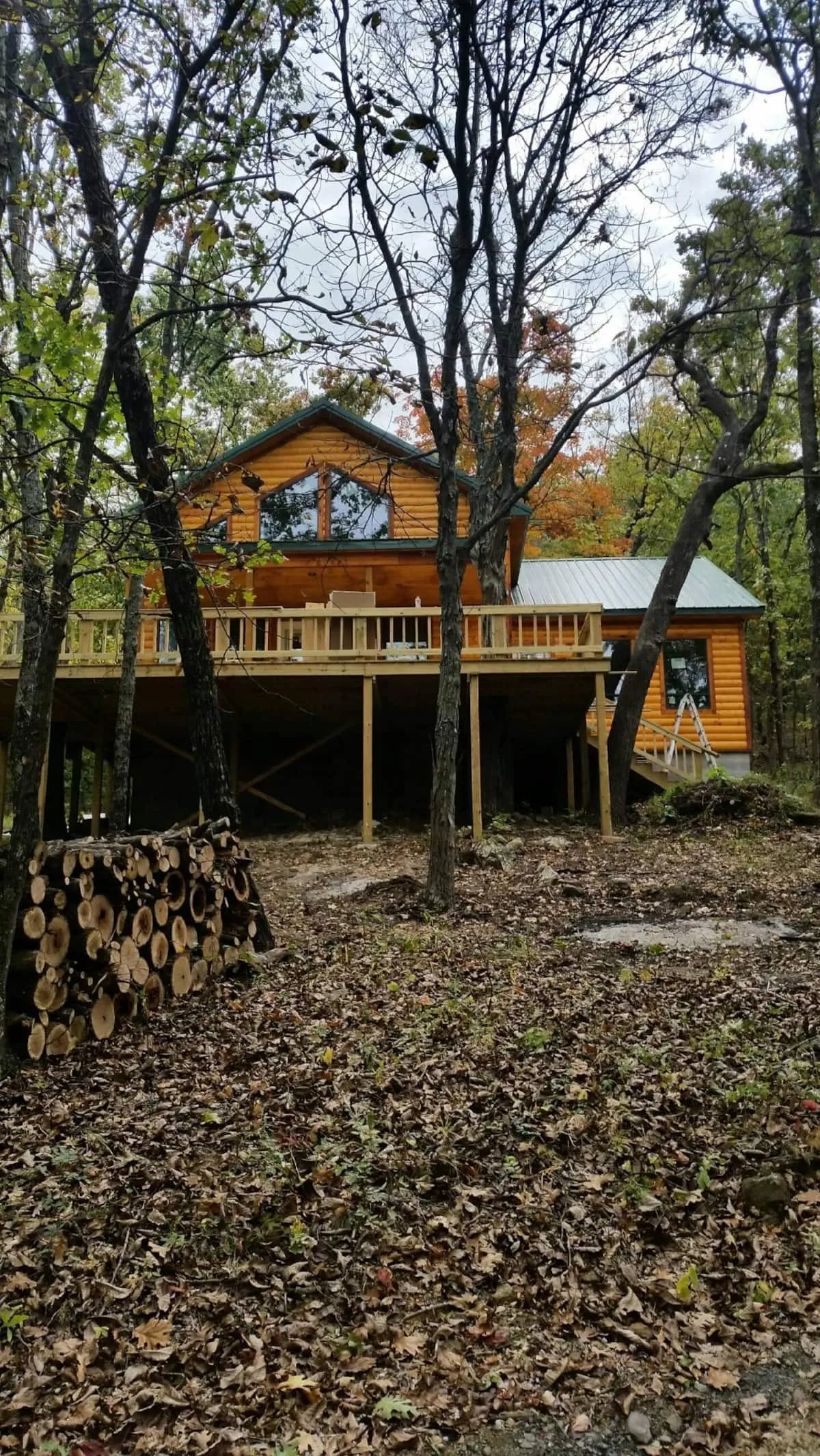 Forrest View Cabin (10 guest)