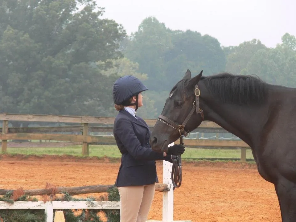 Chestnut Hill Stables & Riding
