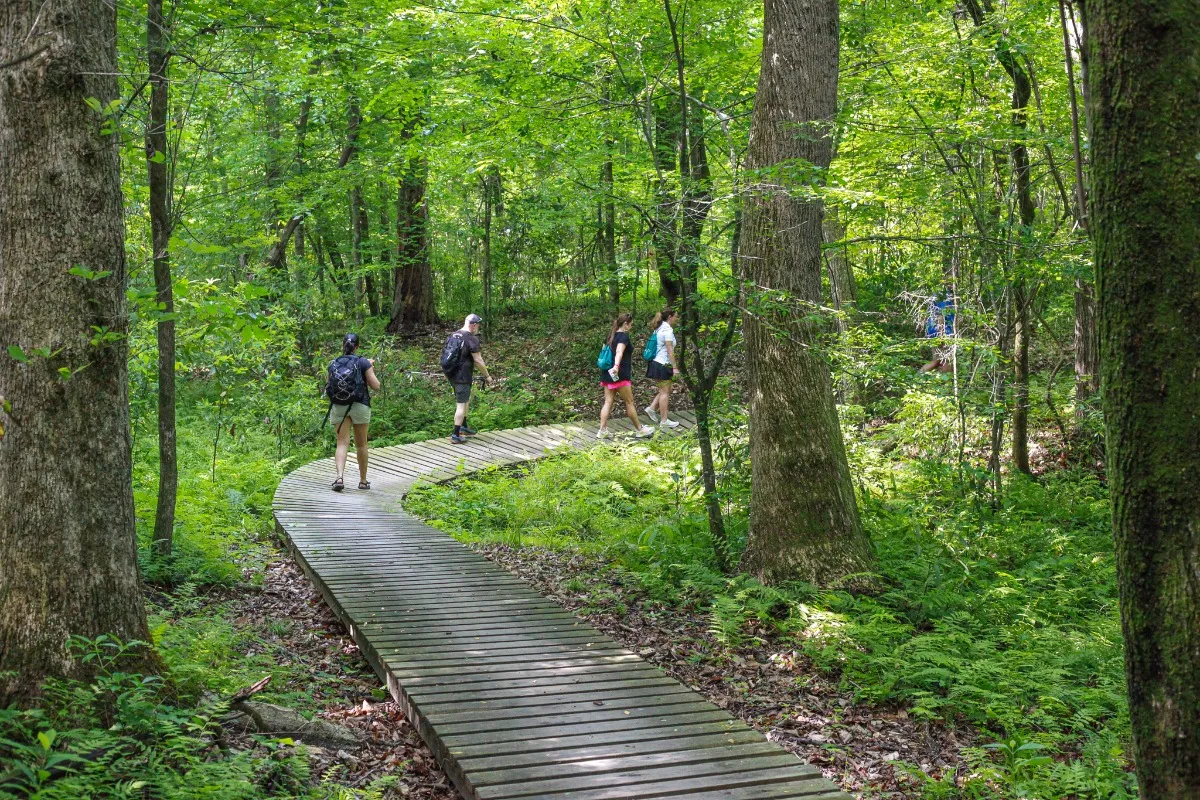 High Hill Creek Bike and Run Park