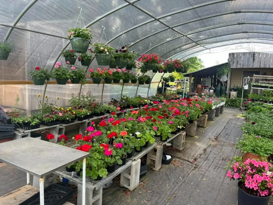 Bethany Plants and Produce