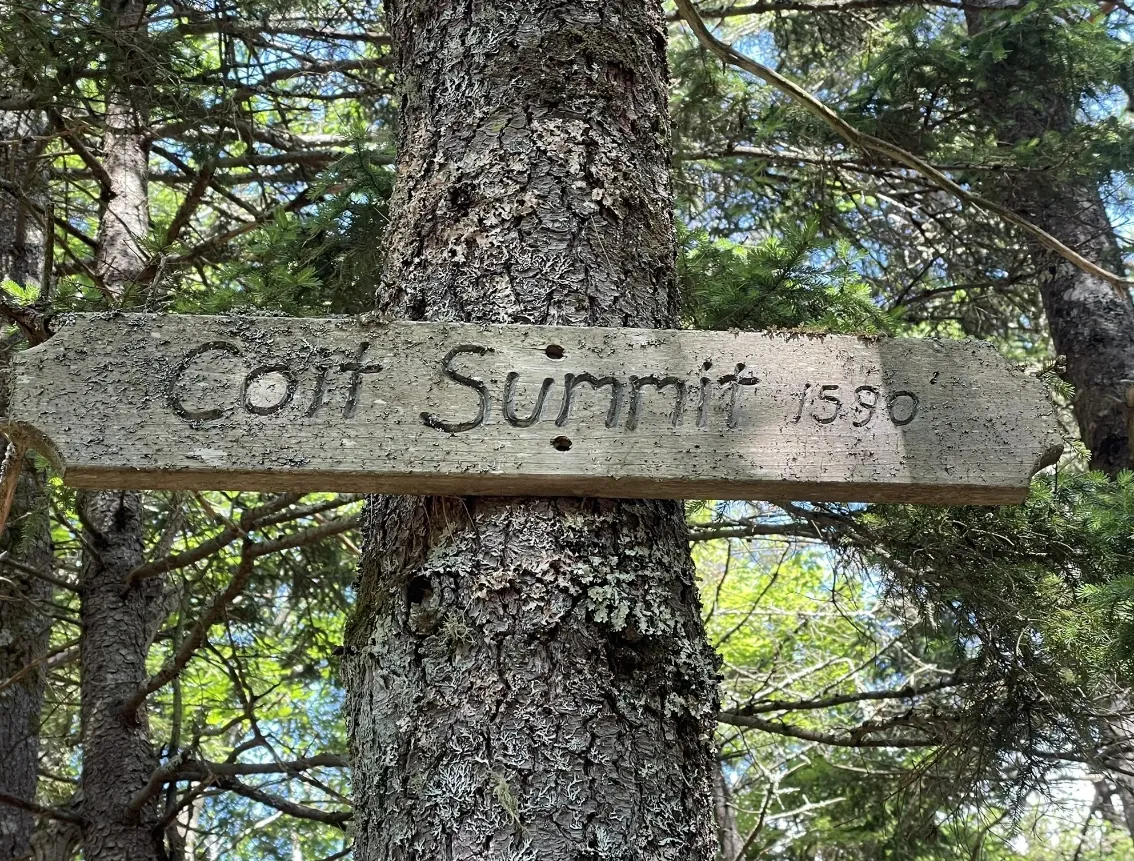 Coit Mountain & the Pinnacle Loop