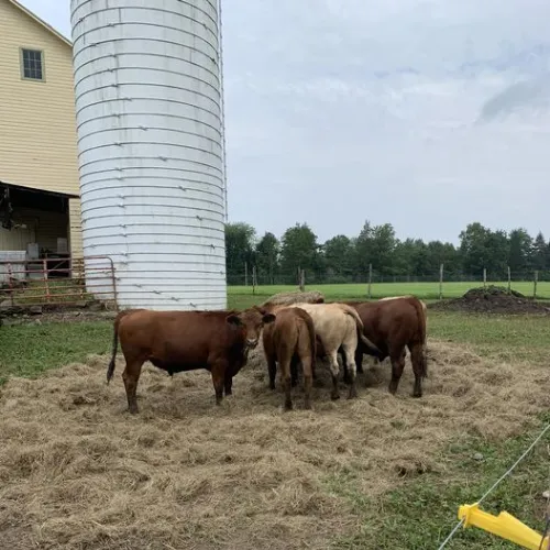 HISTORIC BROWN FAMILY FARM