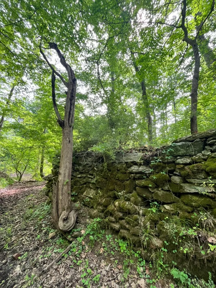 Troublesome Creek