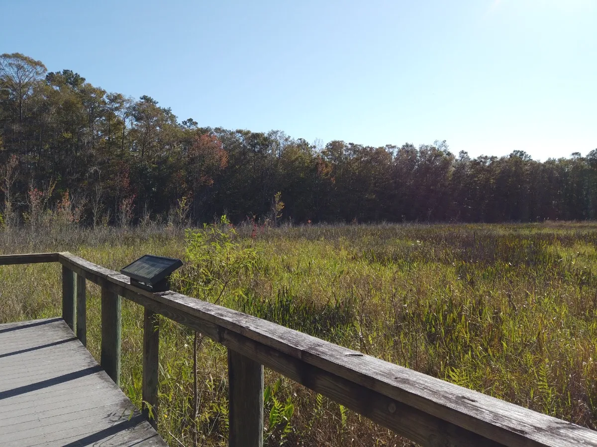 Chinsegut Conservation Center & Trails