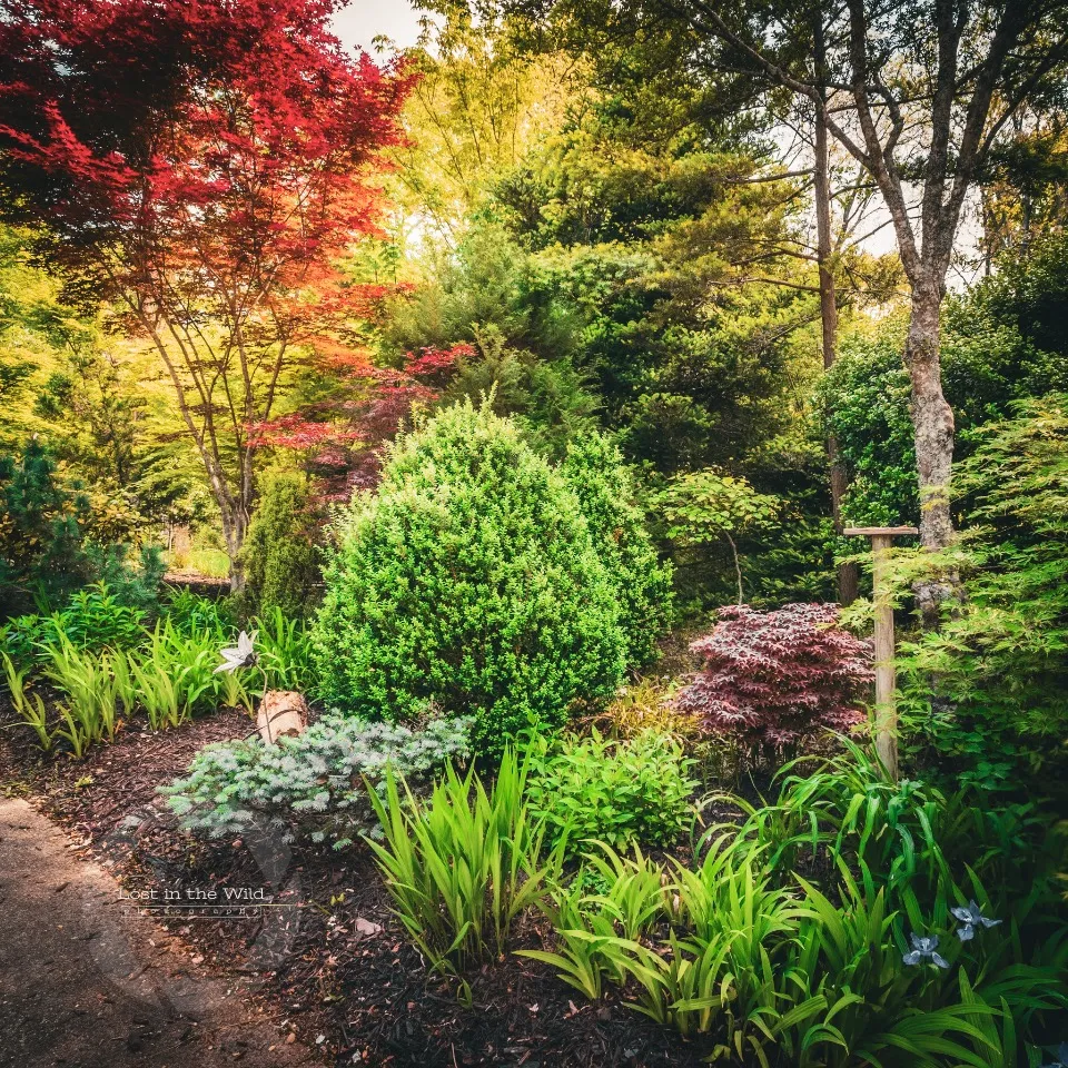 Cox Arboretum and Gardens