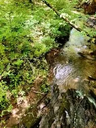 Long Swamp Creek