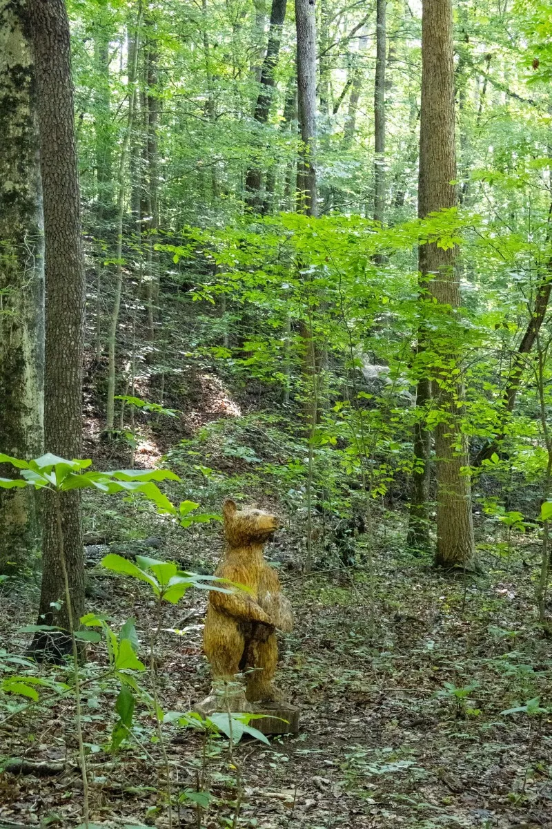 Knight Brown Nature Preserve